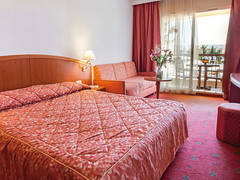 Zimmerbild 18