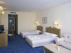 Zimmerbild 12