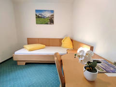Zimmerbild 33