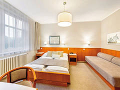 Zimmerbild 21