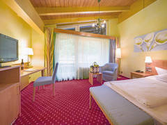 Zimmerbild 17