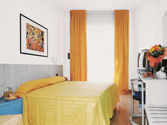 Zimmerbild 6