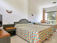 Zimmerbild 78