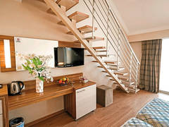 Zimmerbild 1