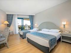 Zimmerbild 15