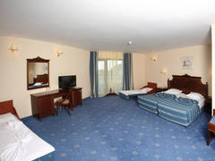 Zimmerbild 33