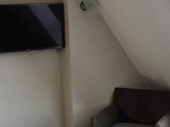 Zimmerbild 6
