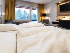 Zimmerbild 11