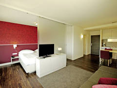 Zimmerbild 8