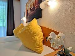 Zimmerbild 21