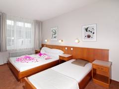 Zimmerbild 12