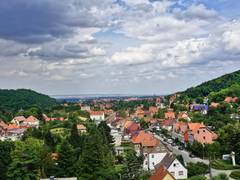 Zimmerbild 46