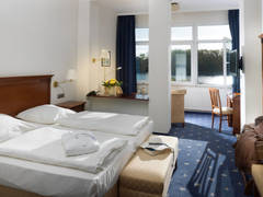 Zimmerbild 10