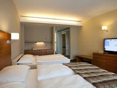 Zimmerbild 7
