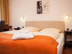 Zimmerbild 13
