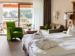 Zimmerbild 11