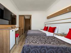 Zimmerbild 9