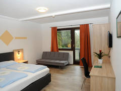 Zimmerbild 2