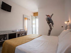 Zimmerbild 8