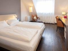 Zimmerbild 8