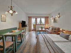 Zimmerbild 43