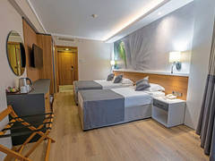 Zimmerbild 4