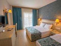 Zimmerbild 2