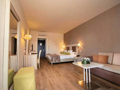 Zimmerbild 12