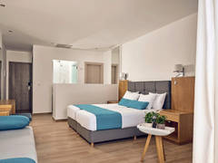 Zimmerbild 13