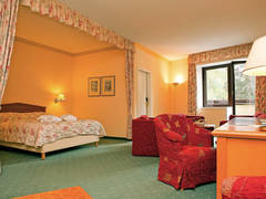Zimmerbild 2