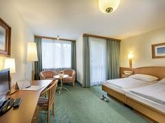 Zimmerbild 26