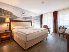 Zimmerbild 3