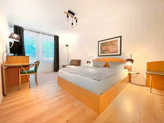 Zimmerbild 13