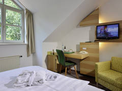 Zimmerbild 4