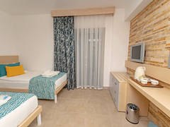 Zimmerbild 1