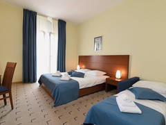 Zimmerbild 43