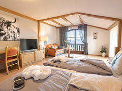 Zimmerbild 12