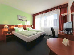 Zimmerbild 12