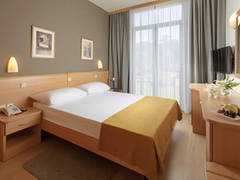 Zimmerbild 49