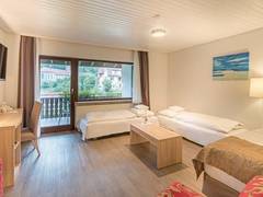 Zimmerbild 19