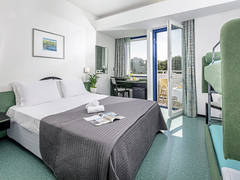 Zimmerbild 11