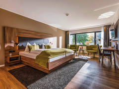 Zimmerbild 9