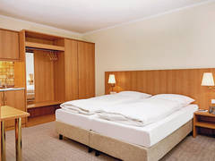 Zimmerbild 21