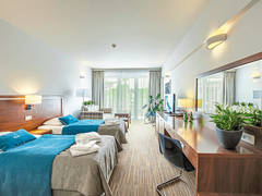 Zimmerbild 3