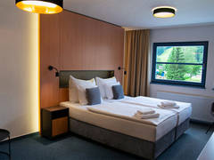 Zimmerbild 6
