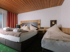 Zimmerbild 7