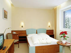 Zimmerbild 17