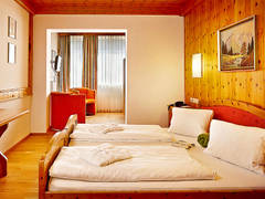 Zimmerbild 32