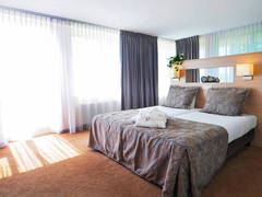 Zimmerbild 8
