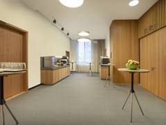 Zimmerbild 13